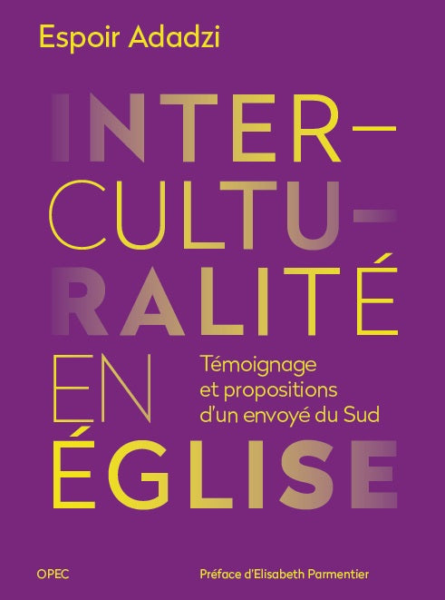 Interculturalité en Église. Témoignage et propositions d'un envoyé du Sud